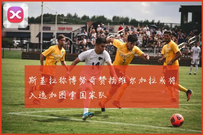 斯基拉称博努奇赞扬维尔加拉或将入选加图索国家队